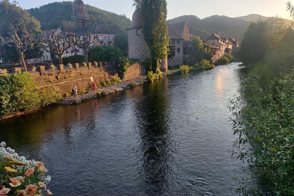 Clos Saint Jacques Thann Luaran gambar